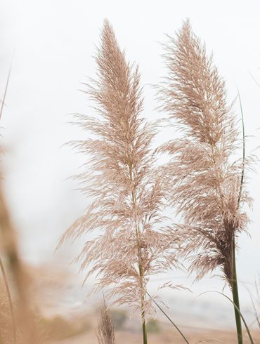 The Soft Neutral Trend Photo